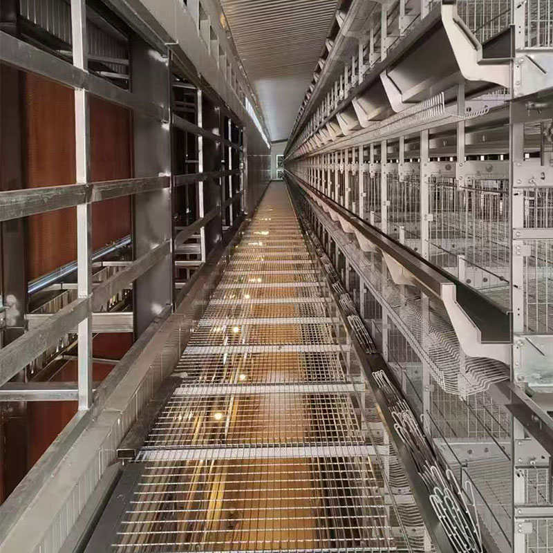 Cage for Broilers