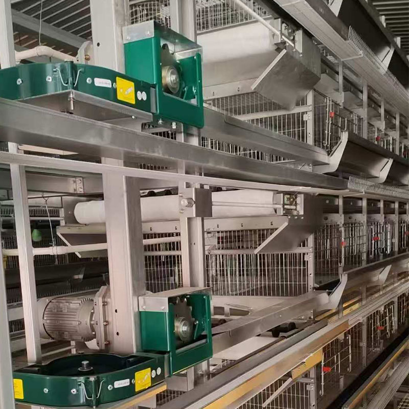 h type layer cage