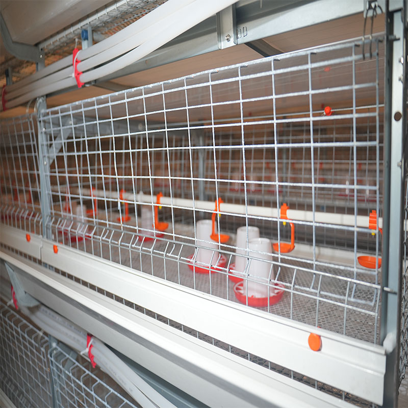 Chicken Manure Processing Machine