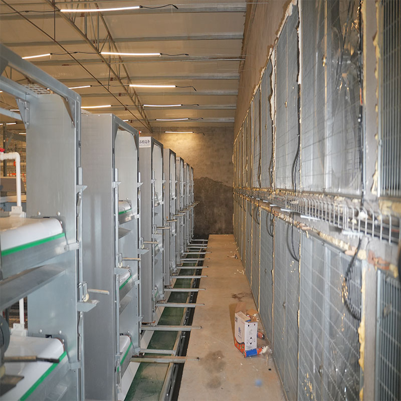 automatic broiler cage system