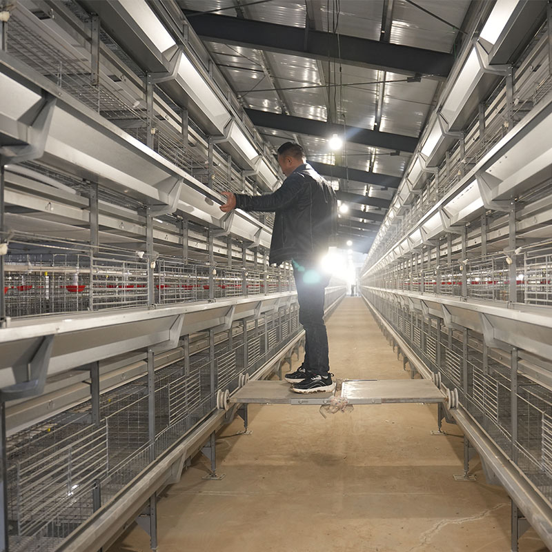 Automatic H Type Layer Cage