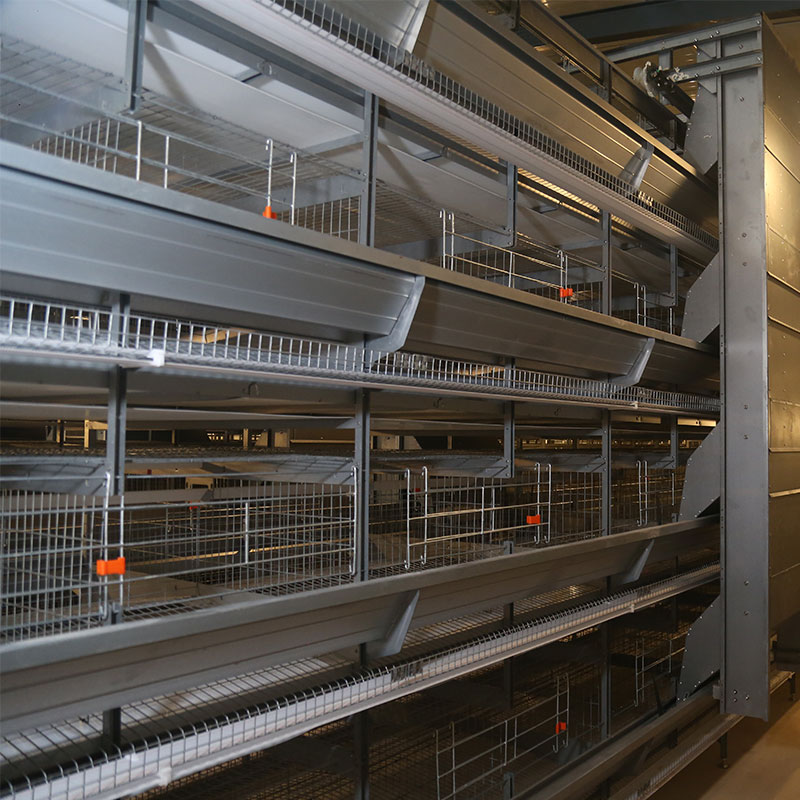 Cage for Broilers