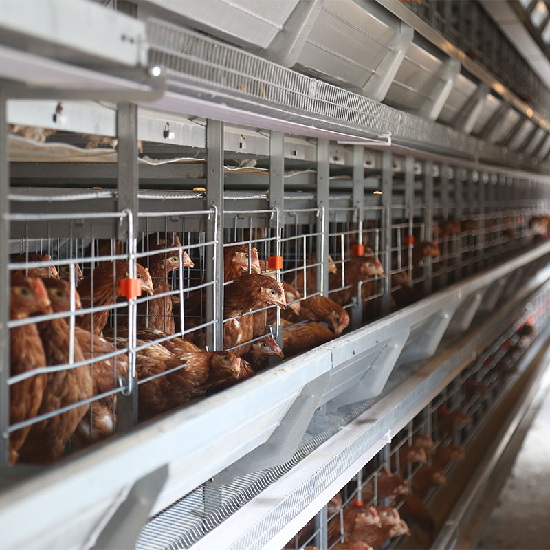 Manual Layer Cage