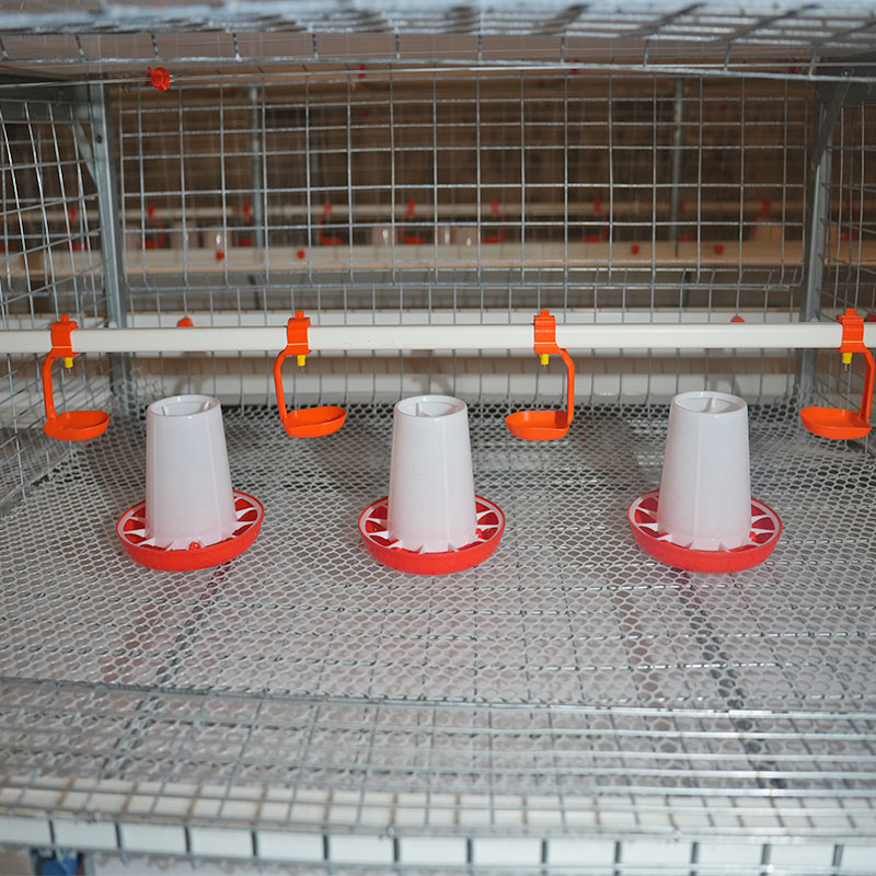 Brooding Cages For Chickens