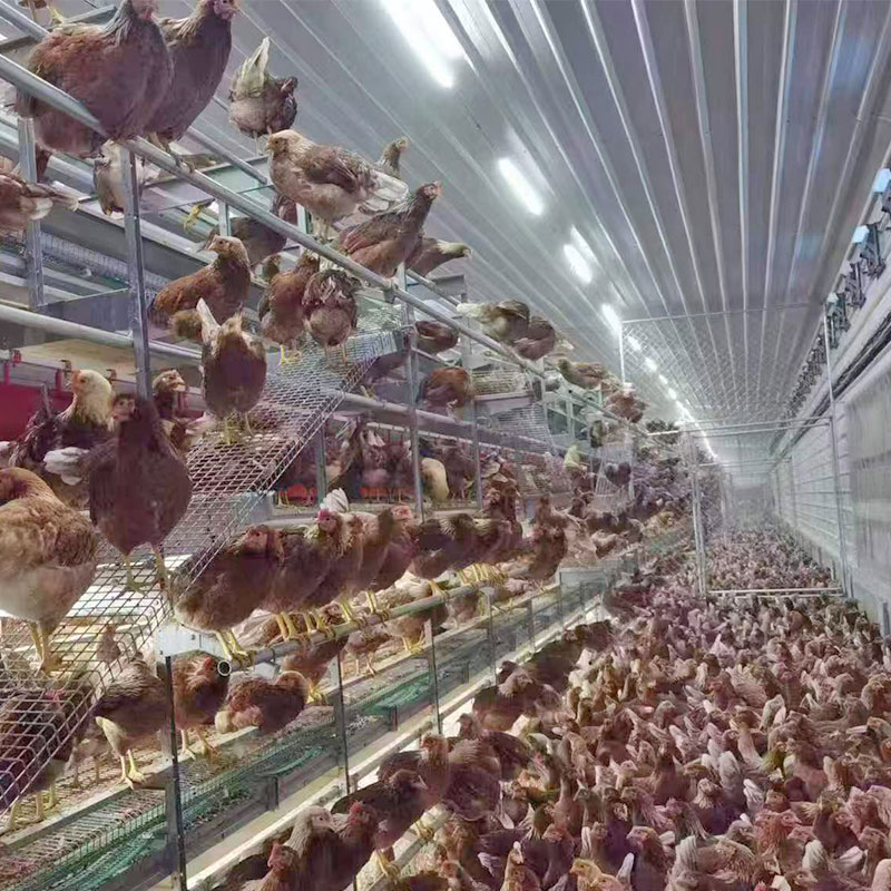 Layer Cage Exporter