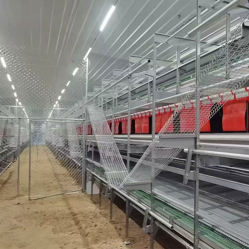 Broiler Cages