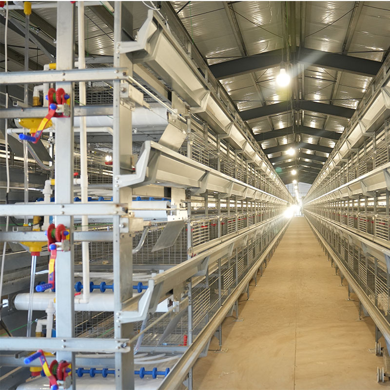 Broiler Cages