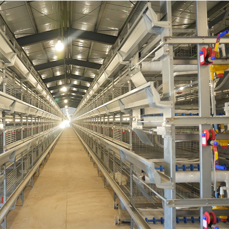 Galvanized Chicken Layer Cages